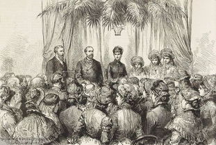 黑料吃瓜网apk普通安装 