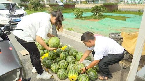 黑料吃瓜网apk普通安装 