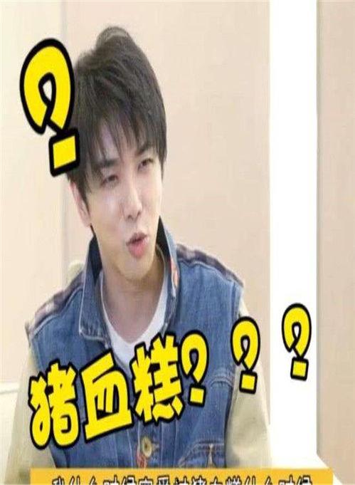 派对之星吃鸡模式 