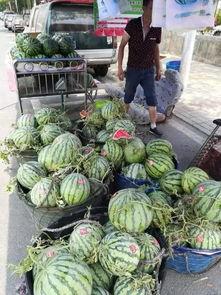 黑料吃瓜网apk普通安装 