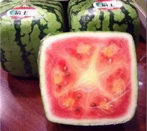 傻瓜记账 